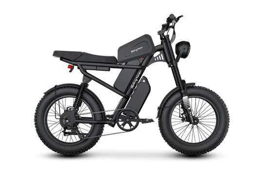 RIDING TIMES Z8 Electric Bike