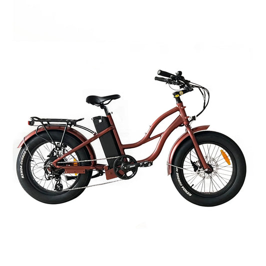 Coastal Cruiser 52V 20 Thru 750W Step Thru Ebike 20x4 Fat Tire Mini Electric Beach Cruiser - Mini - Rebel Electric Bikes Temecula