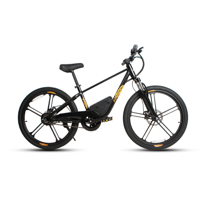 EUNORAU EKids-24 250w  eBike 24x1.96 Fat 
