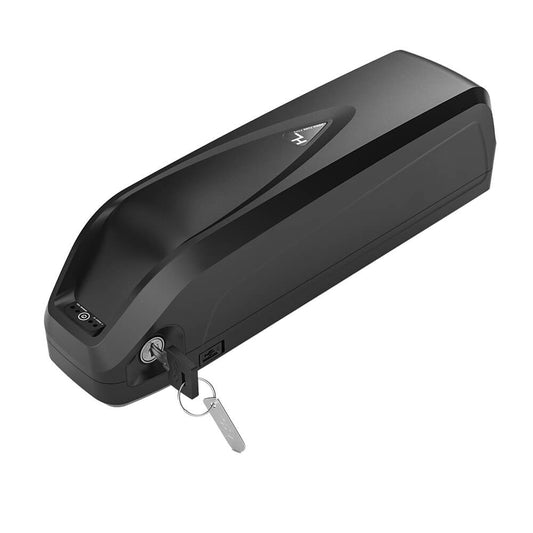 48V16AH 0-1000W Electric Bicycle Lithium Battery