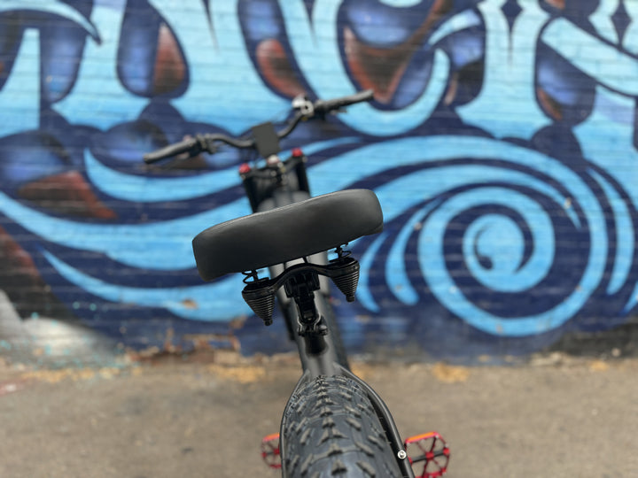 Custom Double Racer 750 w Electric Vintage eBike 26x4 Fat tire electric bike - Vintage eBike - EBIKE|1530 eBike Super Shop