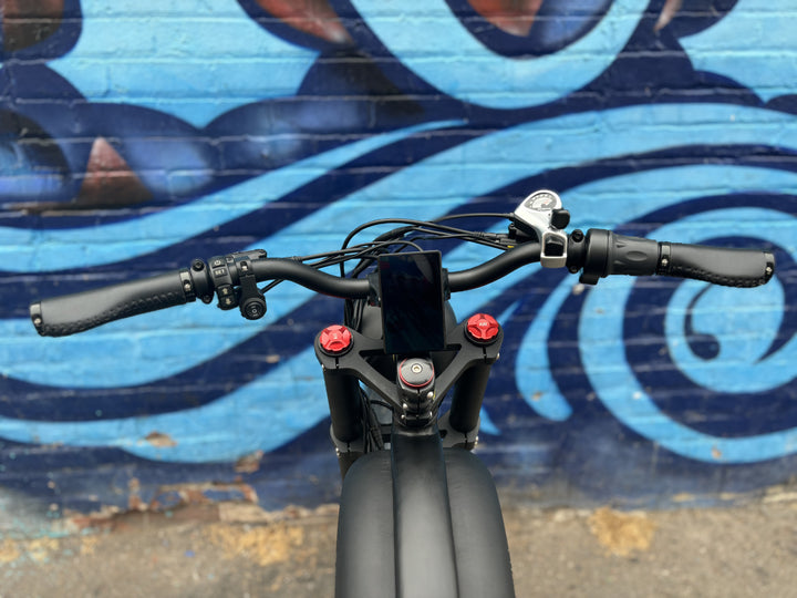 Custom Double Racer 750 w Electric Vintage eBike 26x4 Fat tire electric bike - Vintage eBike - EBIKE|1530 eBike Super Shop