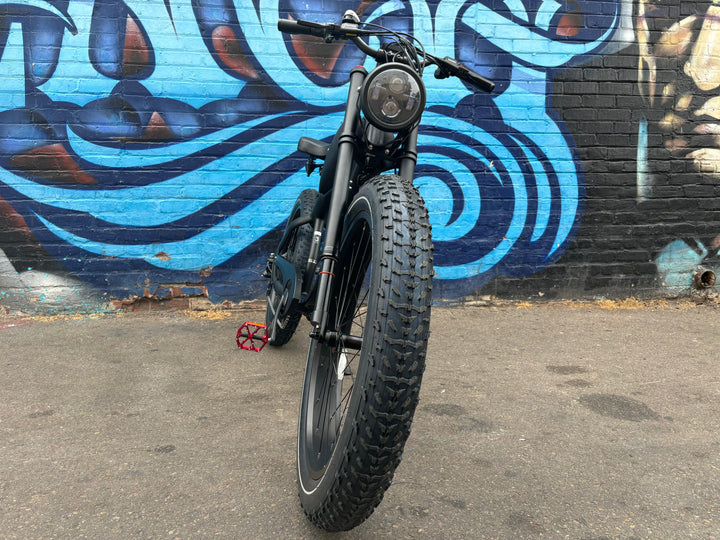 Custom Double Racer 750 w Electric Vintage eBike 26x4 Fat tire electric bike - Vintage eBike - EBIKE|1530 eBike Super Shop