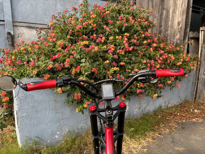 Custom Red Rover 750 w Fat Tire Electric Beach Cruiser eBike 26x4 Fat tire electric bike - Fat Tire Cruiser eBike - EBIKE|1747 eBike Super Shop