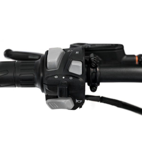 THRONE CYCLES SRPNT X3 10000 W Moto eBike 70x100 / 80x100 0ff-road Electric Dirt Bike
