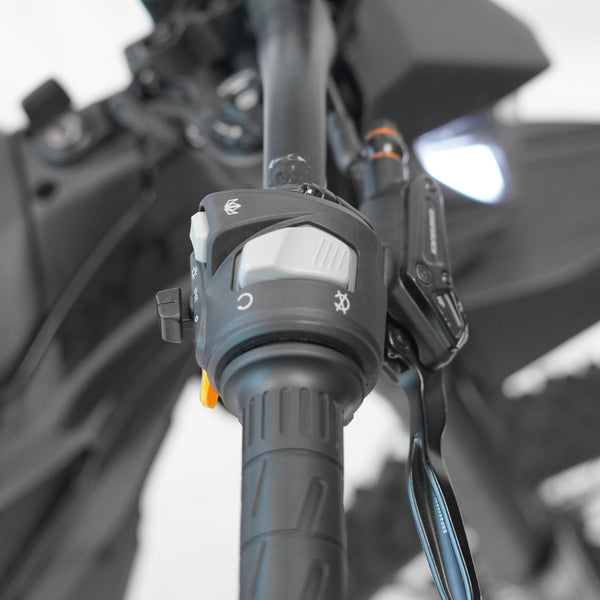 THRONE CYCLES SRPNT X3 10000 W Moto eBike 70x100 / 80x100 0ff-road Electric Dirt Bike