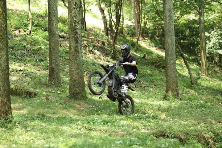 eRide Pro V1 & V2 ** NOT FOR eRide Pro V3 ** S 3000 w / 6000 w Ebike 17x3 Dirt Electric Dirt Bike - Electric Dirt Bike - eBike Super Shop