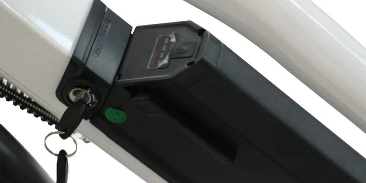 EUNORAU Max Cargo 750w Step Thru eBike 24x2.4 Road Electric Cargo eBike - Cargo eBike - EUNOR|CARGO|GREEN14AH|0357 eBike Super Shop