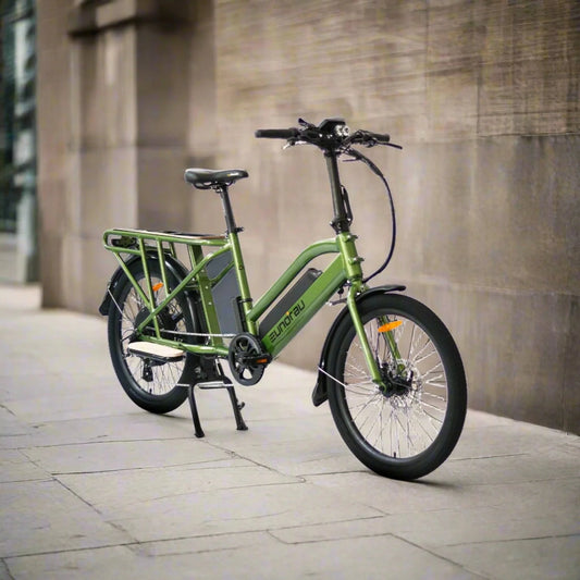 EUNORAU Max Cargo 750w Step Thru eBike 24x2.4 Road Electric Cargo eBike - Cargo eBike - EUNOR|CARGO|GREEN14AH|0357 eBike Super Shop