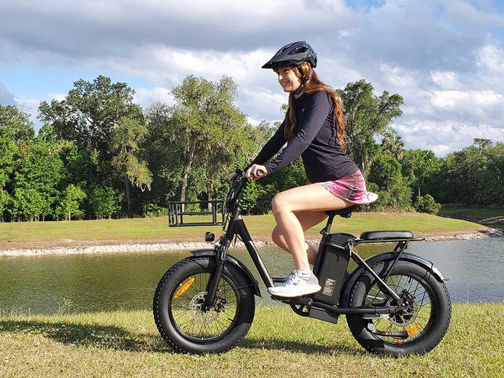 FREEGO Electric Cargo eBike FB - 20X Step - thru - Step Thru 750 w Electric Communter eBike - Cargo eBike - FREEG|1829 eBike Super Shop