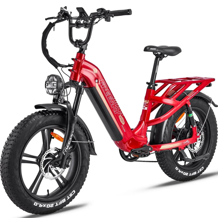 FREESKY Rocky 750 w Step Thru Ebike 20x4 Fat Electric Cargo eBike - Cargo eBike - eBike Super Shop