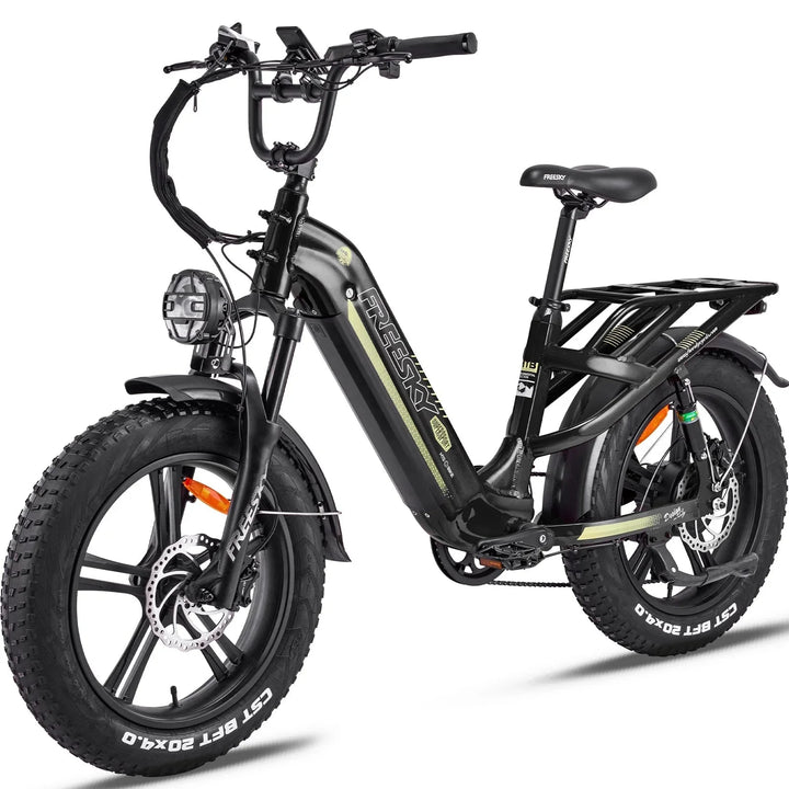 FREESKY Rocky 750 w Step Thru Ebike 20x4 Fat Electric Cargo eBike - Cargo eBike - FREES|CARGO|BLACK|0568 eBike Super Shop