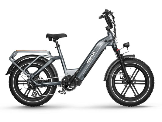 HIMIWAY Big Dog 750 w Step Thru Ebike 20x4 Fat Electric Cargo eBike - Cargo eBike - HIMIW|CARGO|0162 eBike Super Shop
