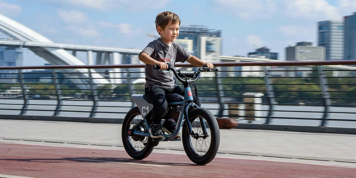 HIMIWAY C1 Kids E - Bike 350 w Step Over Ebike 16x3 Fat Electric Mini Fat Tire eBike - Moto Style eBike - HIMIW|MOTO|CORAL|0759 eBike Super Shop