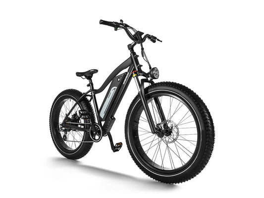 HIMIWAY Cruiser D3 750 w Step Over Ebike 26x4 Fat Fat Tire Electric Beach Cruiser eBike - Fat Tire eBike - HIMIW|FATT|0159 eBike Super Shop