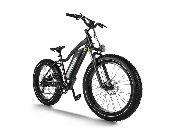 HIMIWAY Cruiser D3 750 w Step Over Ebike 26x4 Fat Fat Tire Electric Beach Cruiser eBike - Fat Tire eBike - HIMIW|FATT|0159 eBike Super Shop