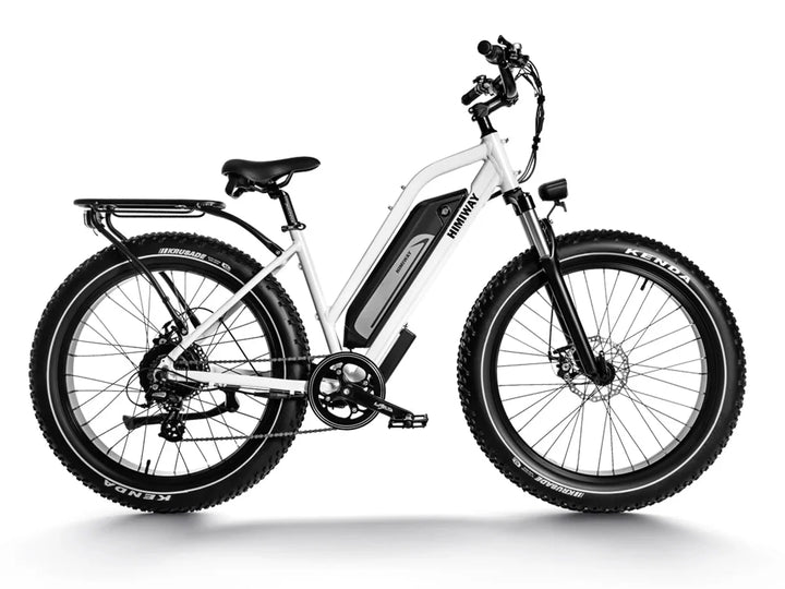 HIMIWAY Cruiser ST D3 750 w Step Thru Ebike 26x4 Fat Electric Fat Tire Mountain eBike - Fat Tire eBike - HIMIW|FATT|0160 eBike Super Shop