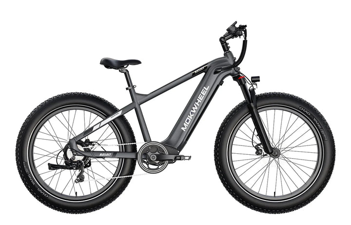 MOKWHEEL Basalt 750 w Step Over Ebike 26x4 Fat Tire Fat Tire Electric Beach Cruiser eBike - Fat Tire eBike - MOKWH|FATT|GREY|0119 eBike Super Shop