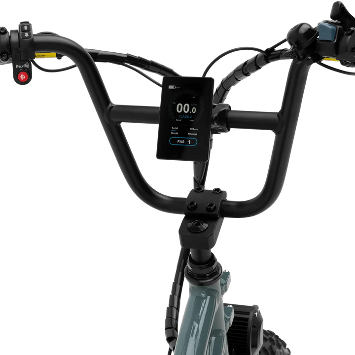MURF Higgs Cargo Fat Tire Electric Cargo Beach Cruiser eBike - 52v 750 w Electric Cargo eBike - Cargo eBike - MURF|BLACK|2302 eBike Super Shop