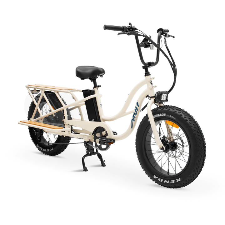 MURF Higgs Cargo Fat Tire Electric Cargo Beach Cruiser eBike - 52v 750 w Electric Cargo eBike - Cargo eBike - MURF|BONE|2304 eBike Super Shop