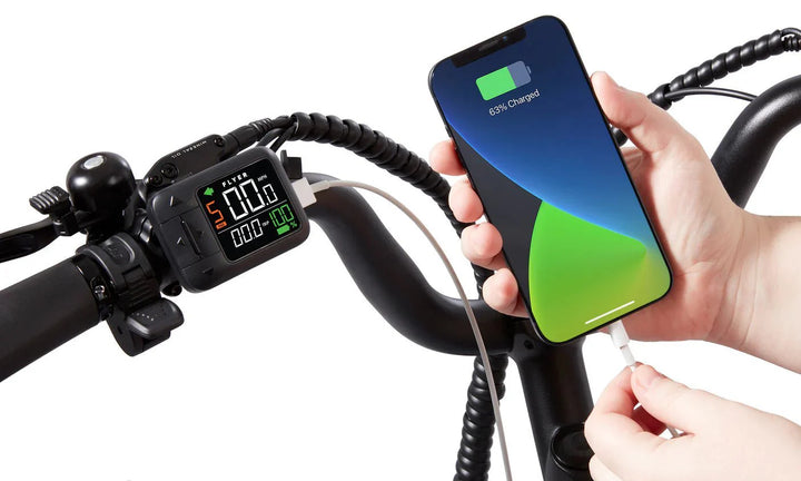 RADIO FLYER Via Pro 750w Step Thru eBike 24x2.4 Street Electric Cargo eBike - Cargo eBike - FLYER|CARGO|SPACE|0319 eBike Super Shop