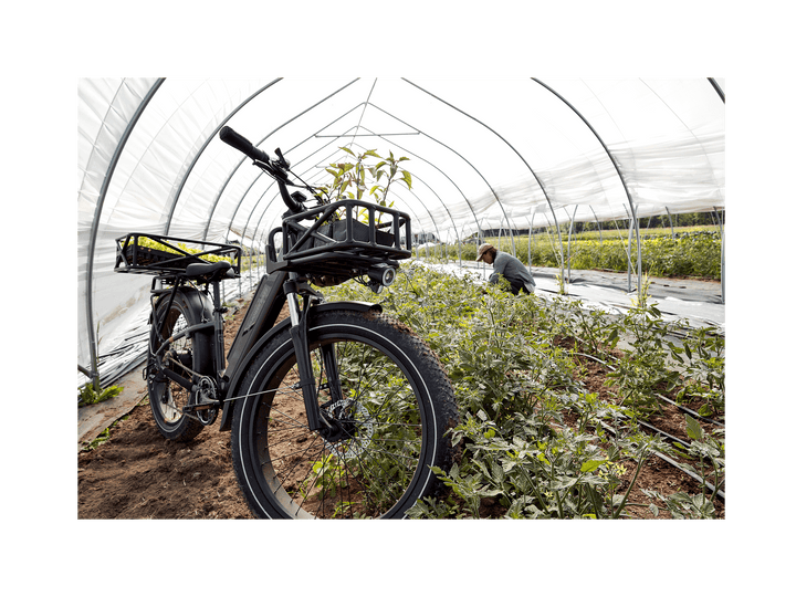RadRover™ 6 Plus Electric Fat Tire Bike - Electric Bike - 101 - 00065 eBike Super Shop
