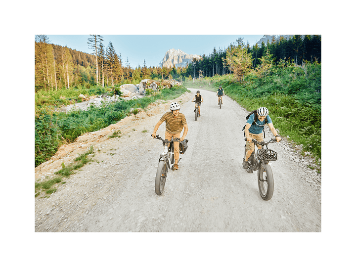 RadRover™ 6 Plus Electric Fat Tire Bike - Electric Bike - 101 - 00065 eBike Super Shop