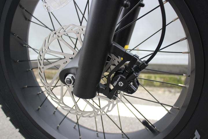 Ripper Pro - Dual - Battery 48V 750W Moto Style Electric Bike - Moto Style eBike - RST010Y-801-2 eBike Super Shop